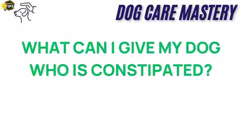 dog-constipation-solutions