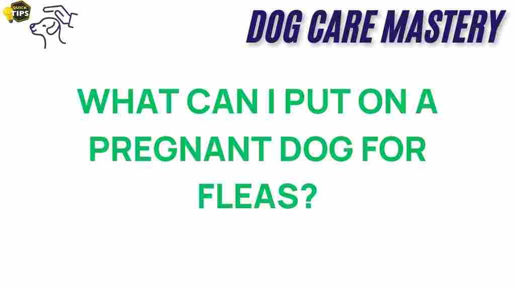 pregnant-dog-flea-treatments
