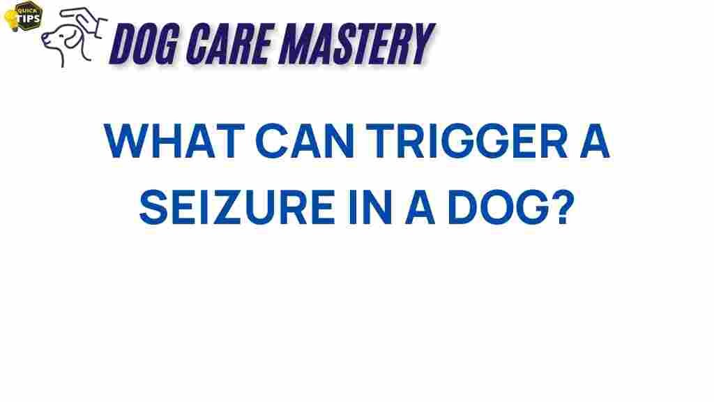 dog-seizures-triggers