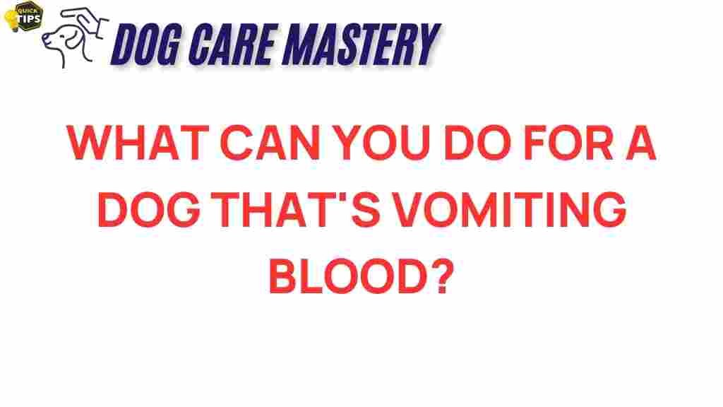 dog-health-vomiting-blood