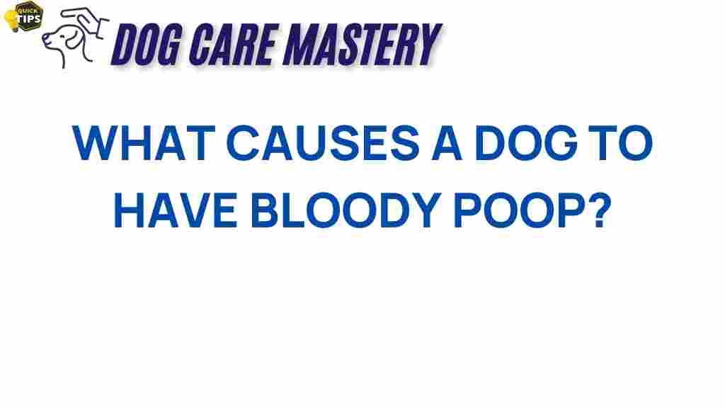 dog-health-bloody-poop