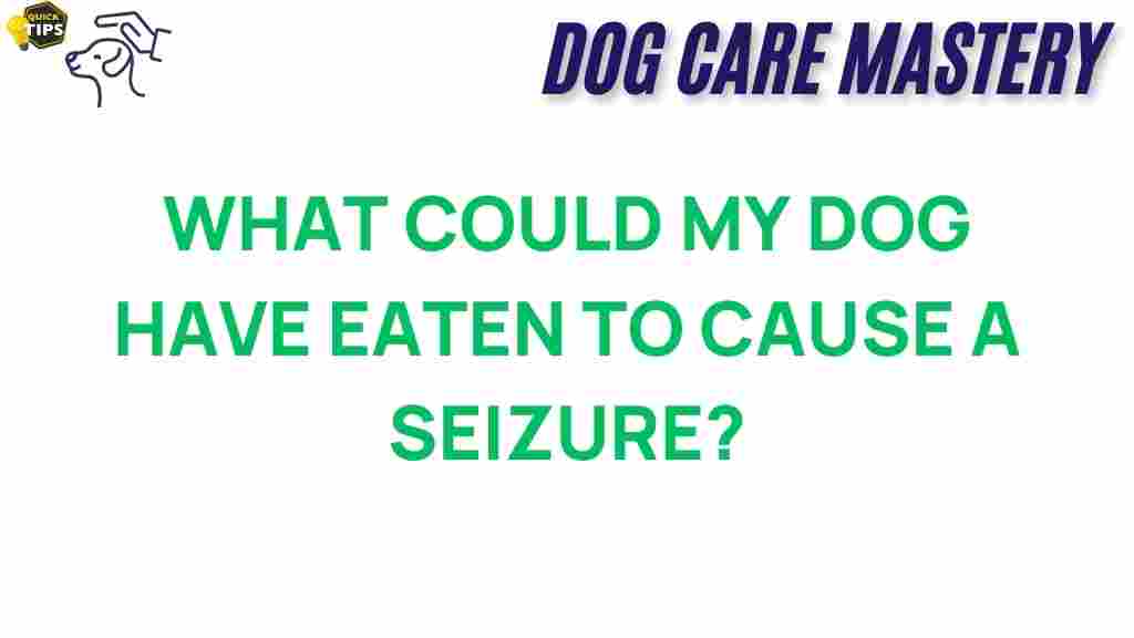dog-seizures-trigger-causes