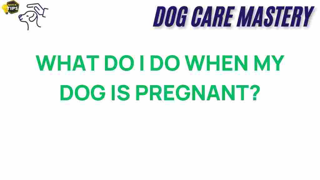 dog-pregnancy-essential-steps