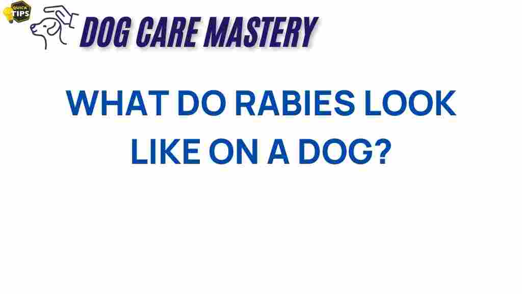 rabies-symptoms-in-dogs