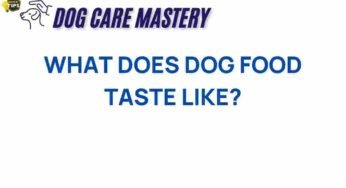 The Surprising Truth: What Does Dog Food Taste Like?