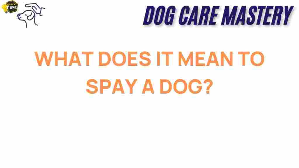 spaying-your-dog-importance