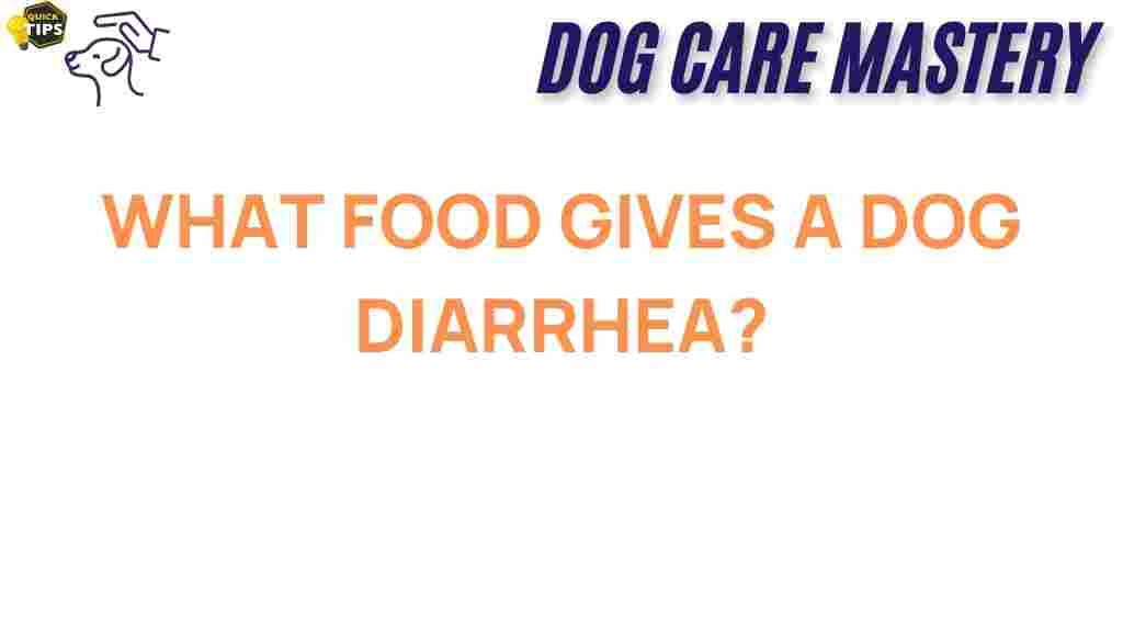 dog-diarrhea-food-guide
