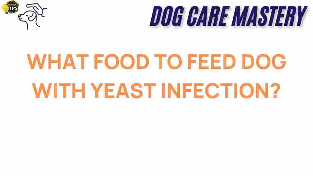 dog-diet-yeast-infection