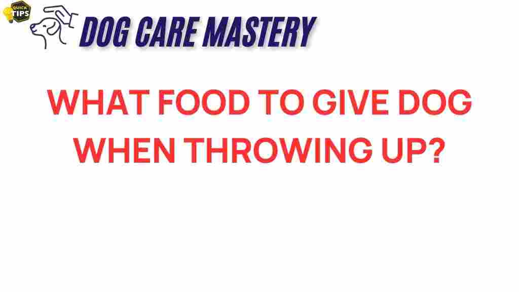 what-food-to-give-dog-when-throwing-up
