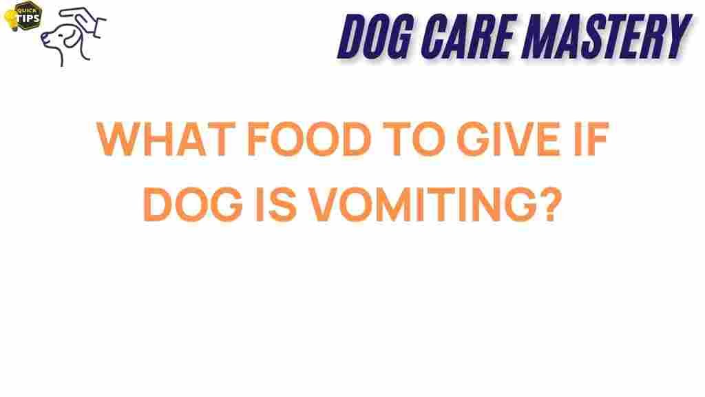 dog-vomiting-recovery-food