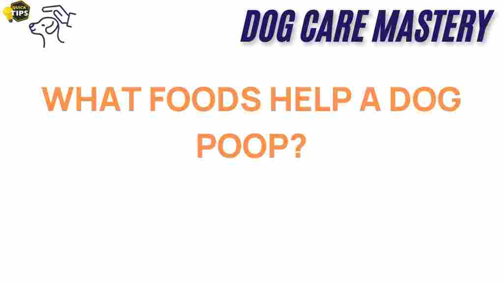 what-foods-help-a-dog-poop