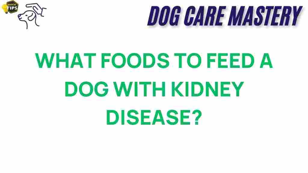 dog-health-kidney-disease