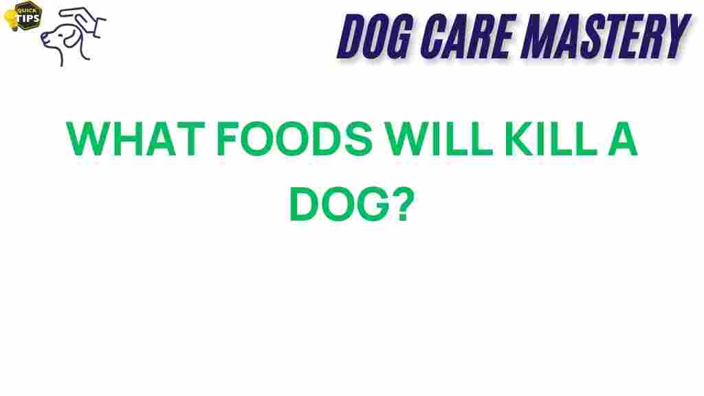 dog-safety-toxic-foods