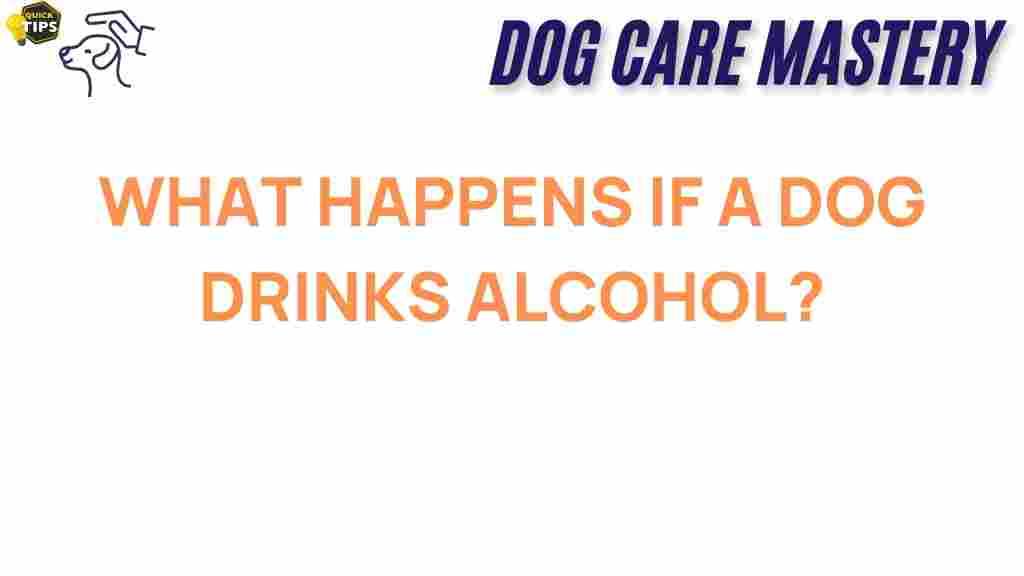 dog-alcohol-effects