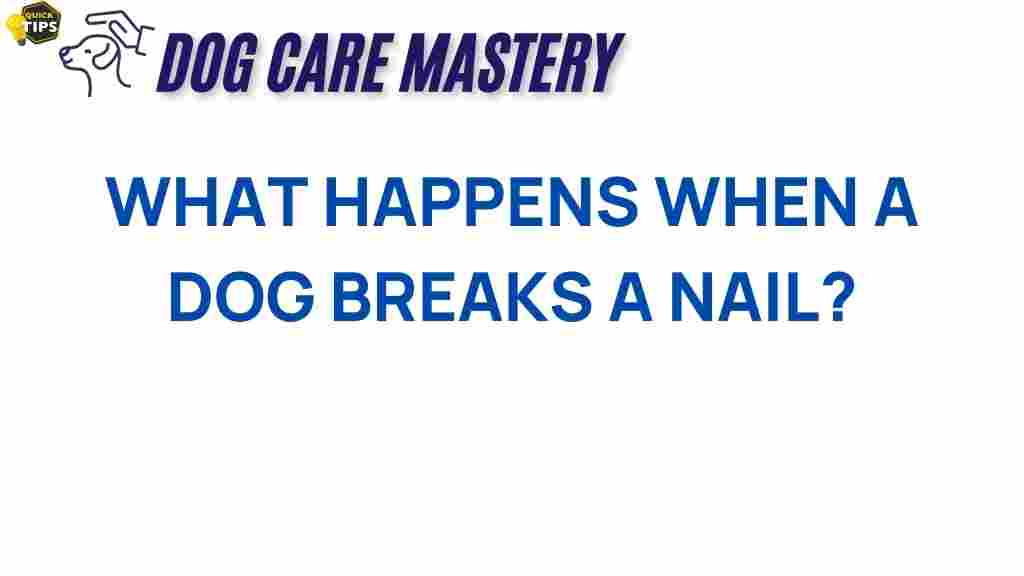 dog-nail-health-broken-nail