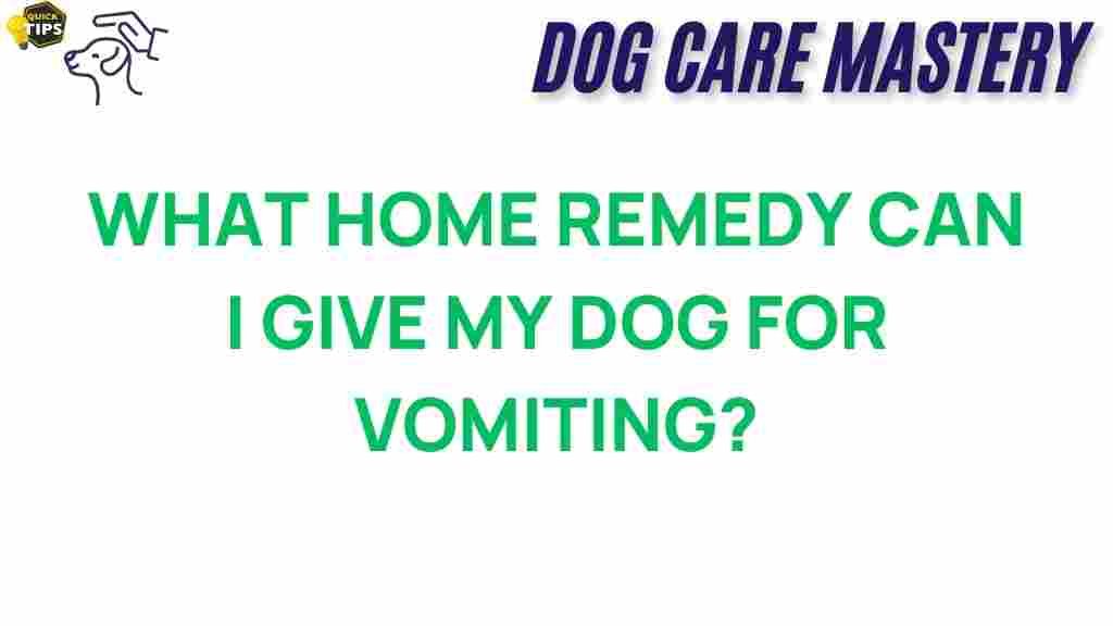 dog-vomiting-home-remedies