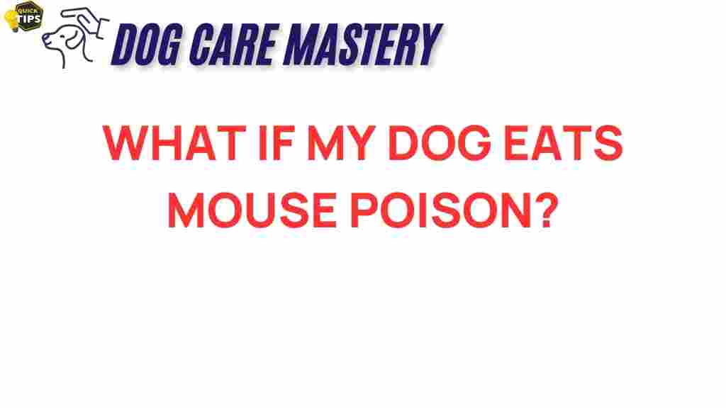 dog-health-mouse-poison
