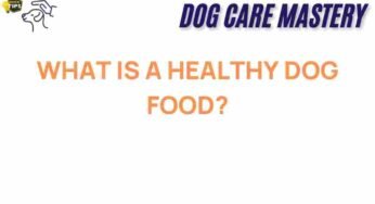 Unveiling the Secrets of Healthy Dog Food: What You Need to Know