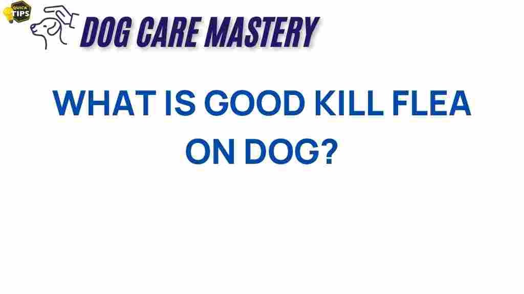 best-flea-treatment-for-dogs