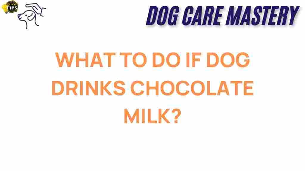 dog-health-chocolate-milk