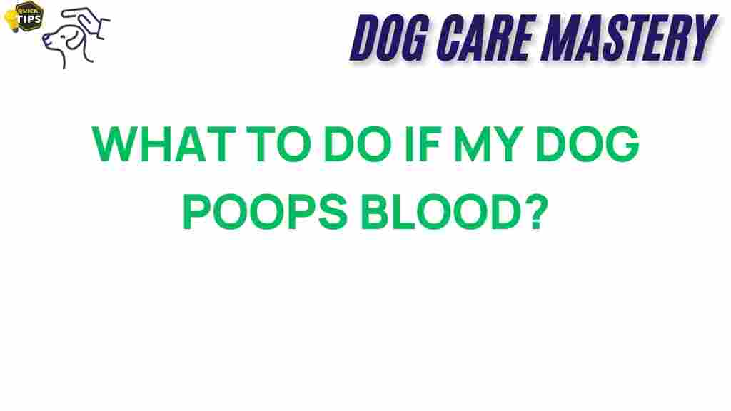 dog-health-poops-blood