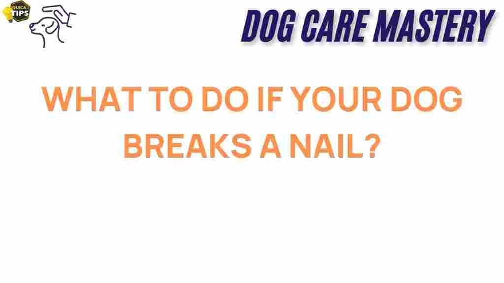 dog-care-broken-nail