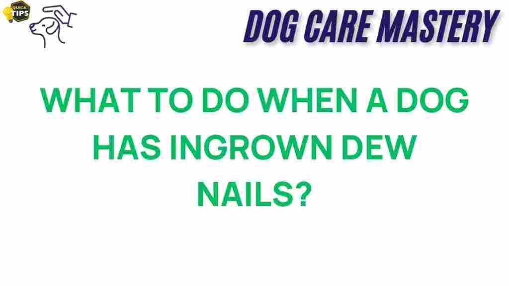 ingrown-dew-claws-solutions