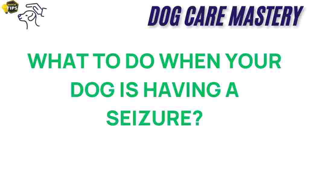 dog-seizure-response
