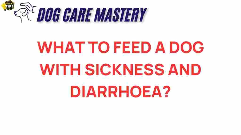 what-to-feed-a-dog-with-sickness-and-diarrhea
