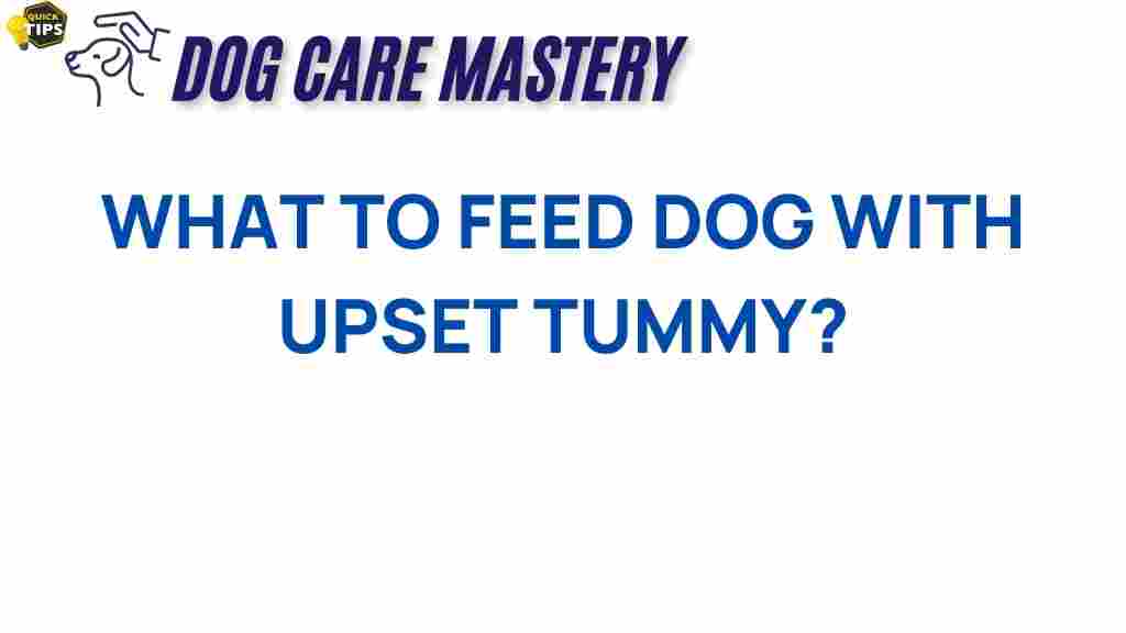 what-to-feed-dog-with-upset-tummy