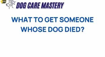 Navigating Grief: Thoughtful Gifts for a Friend’s Loss of a Dog