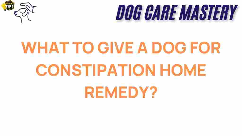 dog-constipation-home-remedy