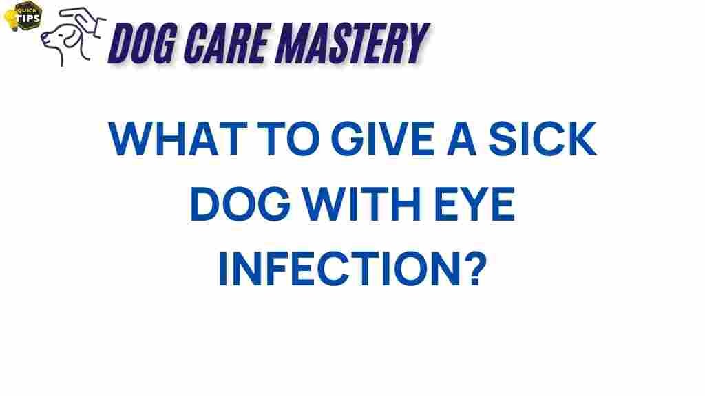 dog-eye-infection-remedies