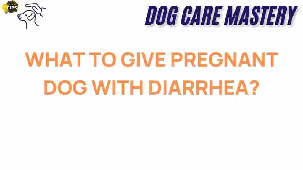 what-to-feed-pregnant-dog-diarrhea