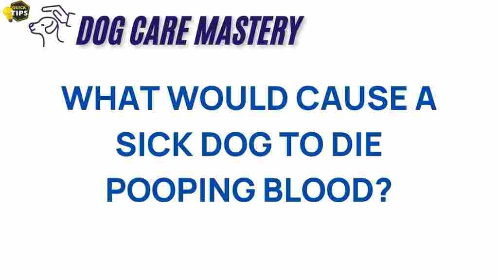 sick-dogs-blood-in-stool