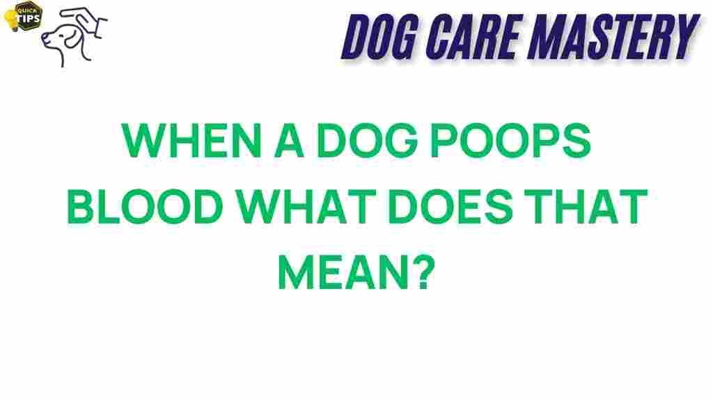 dog-health-poops-blood