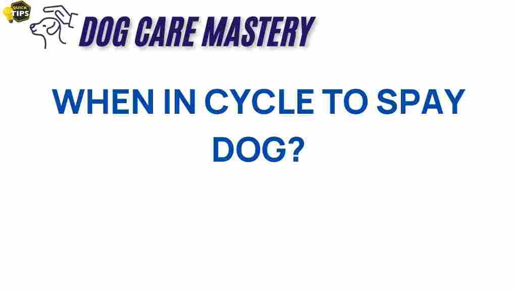 spay-dog-timing