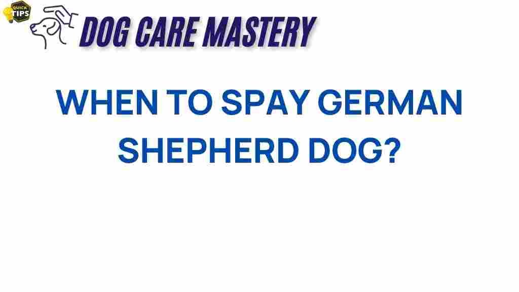 spay-german-shepherd