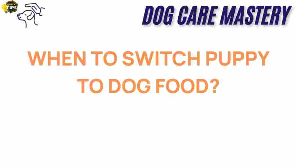 puppy-food-transition
