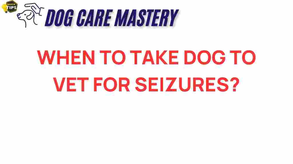 when-to-take-dog-to-vet-for-seizures