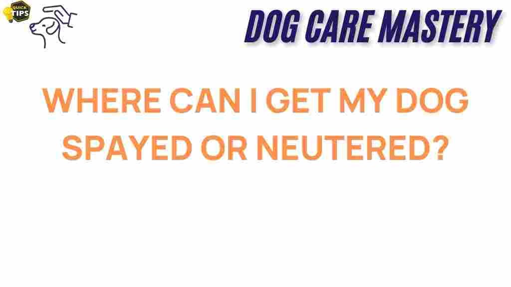 spay-neuter-options-dog