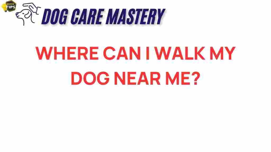 dog-walking-spots-near-me