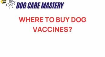 Where to Buy Dog Vaccines: Your Essential Guide to Pet Health