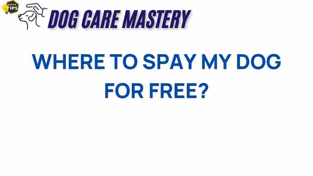 spay-dog-free-options