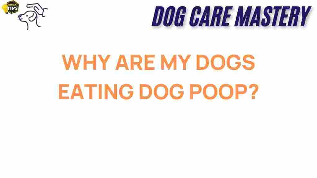 why-do-dogs-eat-dog-poop