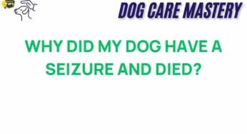 Unraveling the Mystery: Why Did My Dog Have a Seizure and Die?