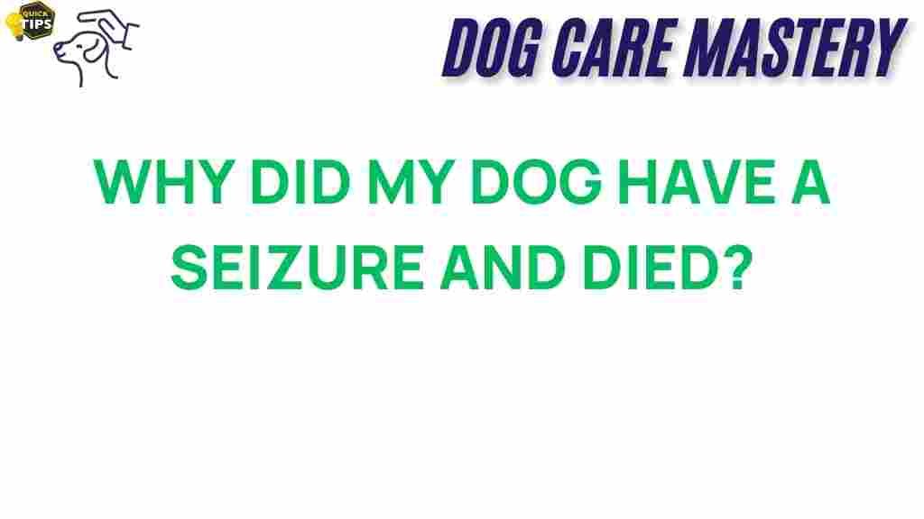 dog-seizures-canine-health