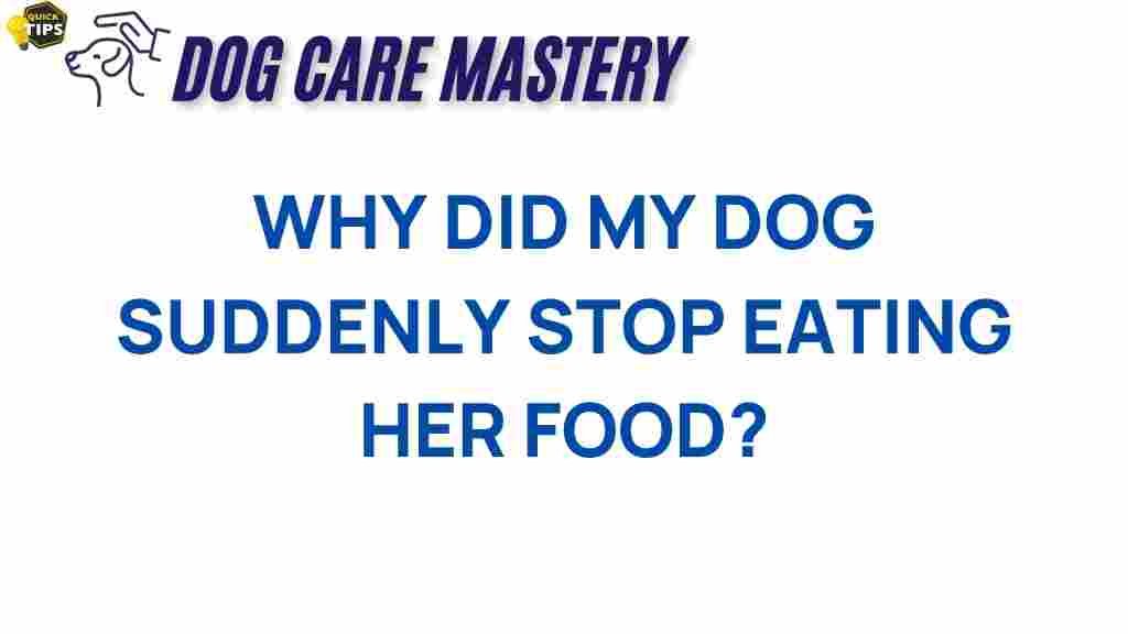 dog-health-appetite-loss