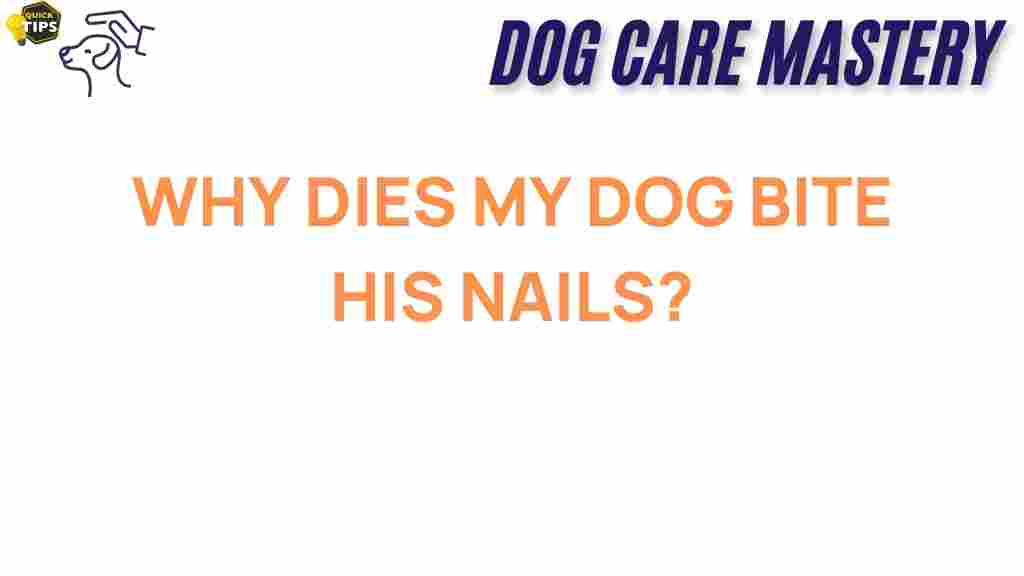 dog-nail-biting