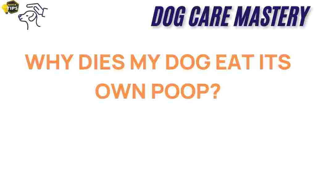 dog-behavior-why-eats-poop